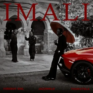 Fireboy DML – lmali Ft Jazzwrld & Thukuthela MP3 Download