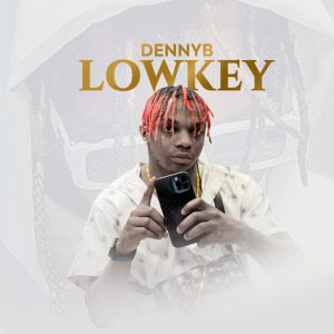 Danny S – Low Key MP3 Download